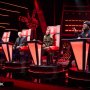 The Voice UK (seriál 2012-?) - Self - Coach