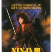 Ninjova nadvláda (1984)