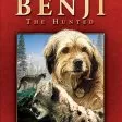 Hladá sa Benji (1987)