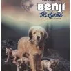 Hladá sa Benji (1987)