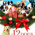 The 12 Dogs of Christmas (2005) - Emma O'Conner
