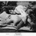 Pán doktor a jeho zvieratká (1967) - Matthew Mugg