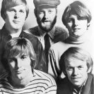 The Beach Boys: An American Band (1985) - Themselves