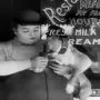 Chaplin a Fatty v ringu (1914) - Pug