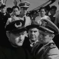 Panic in the Streets (1950) - Capt. Tom Warren
