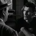 Panic in the Streets (1950) - Raymond Fitch