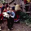 Dobrodružstvo malej pandy (1995) - Ryan Tyler