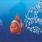 Hľadá sa Nemo (2003) - Fish School