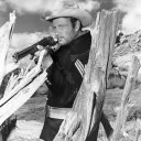 Fort Massacre (1958) - Sgt. Vinson