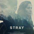 Stray (2018)