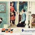 Mary, Mary (1964) - Mary McKellaway