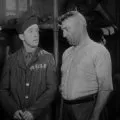 Laurel a Hardy za mřížemi (1931) - The Tiger