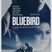 Bluebird 2013 (2014)