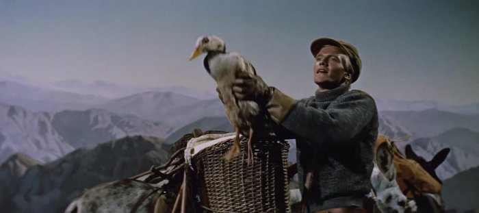 Peter Ronson (Hans Belker), Gertrude the Duck (Gertrude) zdroj: imdb.com