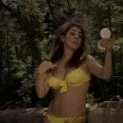 Vixen! (1968) - Vixen Palmer