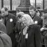 Apa - Egy hit naplója (1966) - Takó Bence