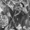 Kniha džunglí (1942) - Mowgli
