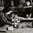 Piesočná žena (1964) - Entomologist Niki Jumpei