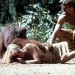 Tarzan, opičí muž (1981) - Orangutan