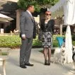 Beverly Hills Chihuahua 3: Viva La Fiesta! (2012) - Hollis