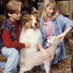 Lassie (1994) - Matthew Turner
