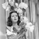 Ziegfeld Girl (1941) - Sandra Kolter
