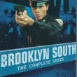 Brooklyn South (1997) - Off. Nona Valentine