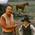 Louis L'Amour's Down the Long Hills (1986) - Hardy Collins