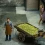 Obchodník se zeleninou (1971) - Irmgard Epp