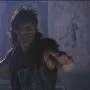 Úder pěstí (1995) - Kenshirô