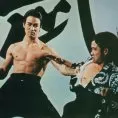 Bruce Lee (Chen Zhen)