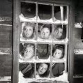 Sedm nevěst pro sedm bratrů (1954) - Dorcas Gaylen