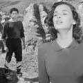 Non c'é pace tra gli ulivi (1950) - Francesco Dominici