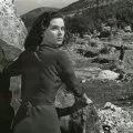Niet mieru pod olivami (1950) - Lucia Silvestri