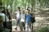 Walking Dead (2010-2022) - Lori Grimes