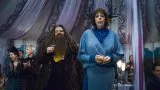 Harry Potter a Dary smrti - 1 (2010) - Rubeus Hagrid