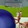 The Ant Bully (2006) - Lucas Nickle