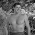 Tarzan's Desert Mystery (1943) - Tarzan