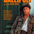 Mel Gibson (Frank Dunne)