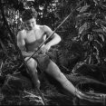 Tarzan and the Huntress (1947) - Boy