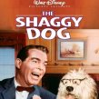The Shaggy Dog (1959) - Chiffon
