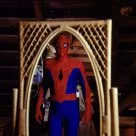 The Amazing Spider-Man (1977) - Spider-Man