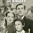Bylo jednou jedno zelené údolí (1941) - Mr. Gruffydd