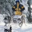 Snežné psy (2002) - Ted Brooks