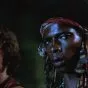 Bojovníci (1979) - Cochise