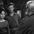 Un branco di vigliacchi (1962) - Giuditta