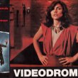 Videodrom (1982) - Nicki Brand