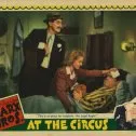 V cirkuse (1939) - Jeff Wilson