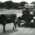 Welcome Danger (1929) - Harold Bledsoe