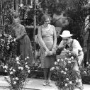 Welcome Danger (1929) - Harold Bledsoe
